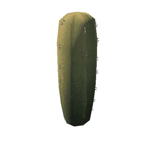 Cactus_9_s6