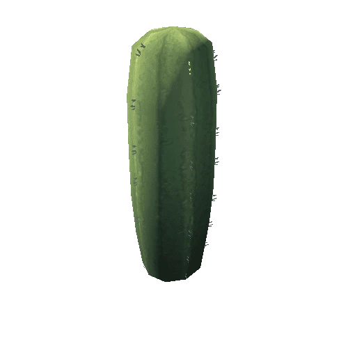 Cactus_9_s7