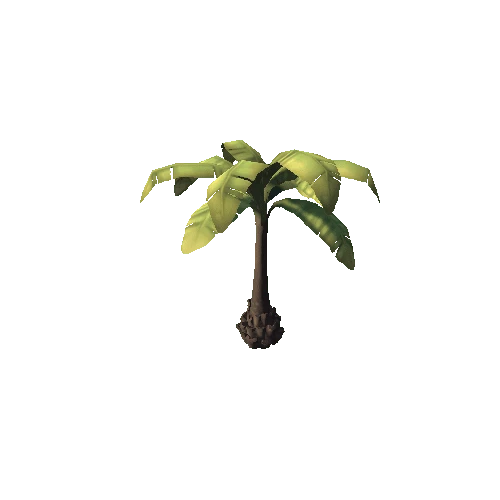 PalmTree_2_2sided_s1