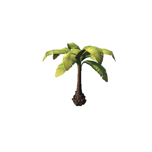 PalmTree_2_2sided_s2