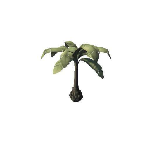 PalmTree_2_2sided_s6