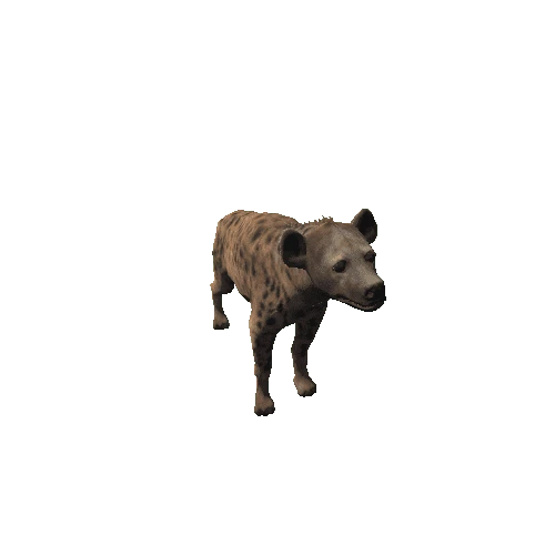 hyena