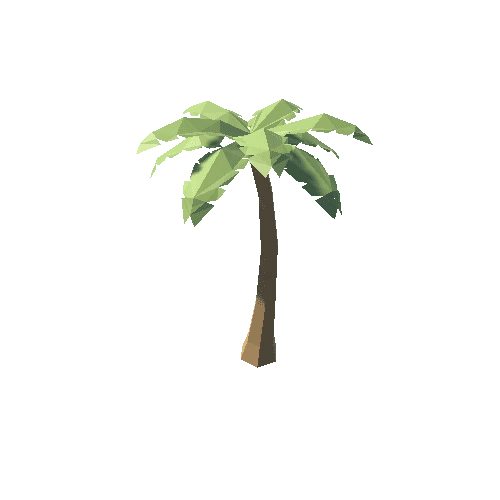 Palm_1