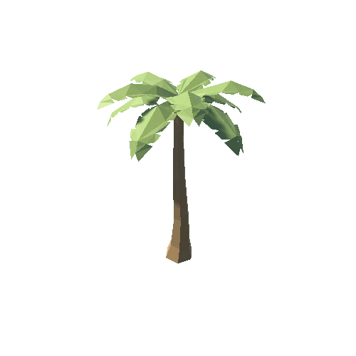 Palm_2