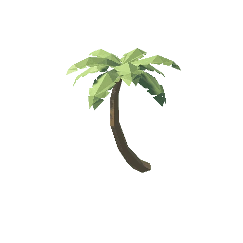 Palm_3