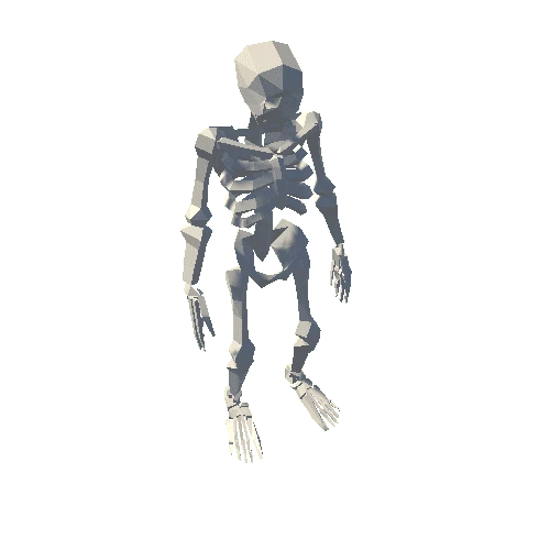 Skeleton_2