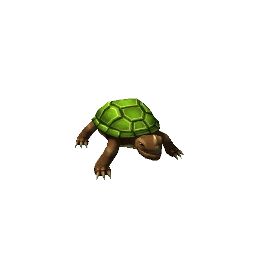 turtle_green2