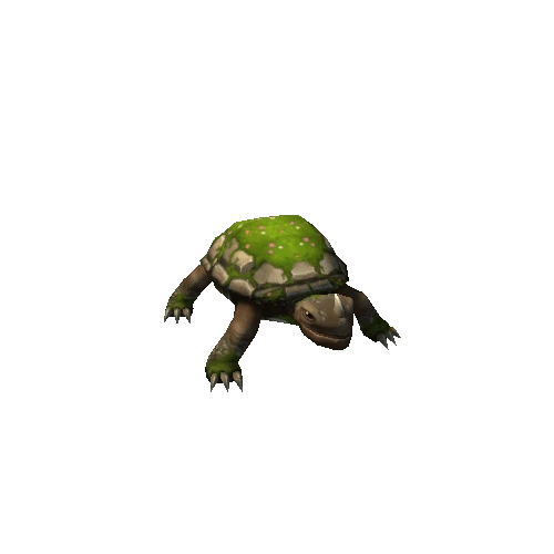 turtle_grey2_moss