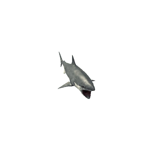Shark_SV_RM_MX_LP