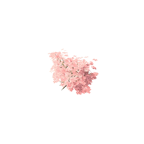 CherryBlossom_terrain