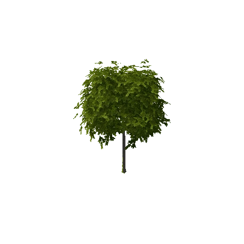 SmallTree2