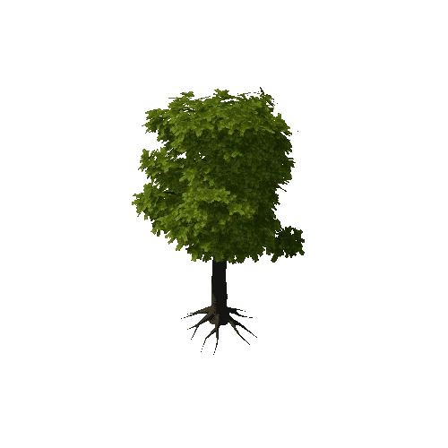 Verybigtree1