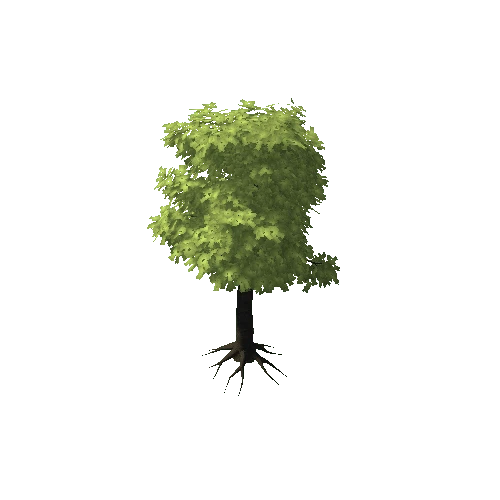 Verybigtree1_2