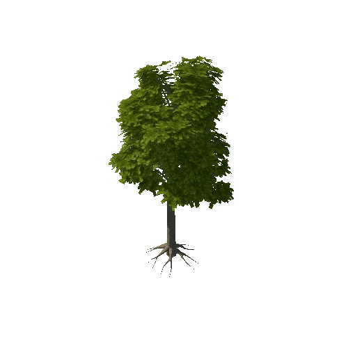 Verybigtree2