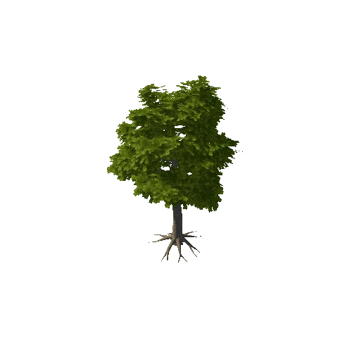 Verybigtree3