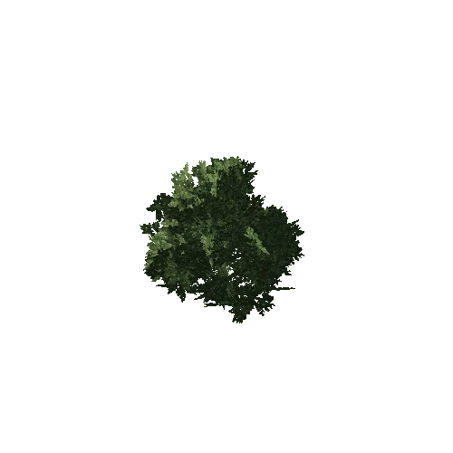 bush3_terrain