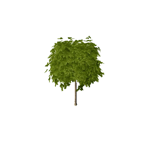 smalltree2_terrain