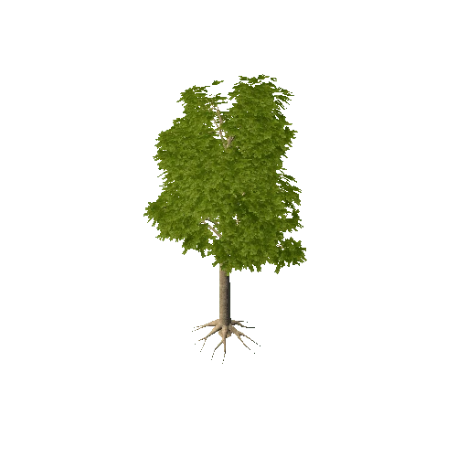 verybigtree2_terrain