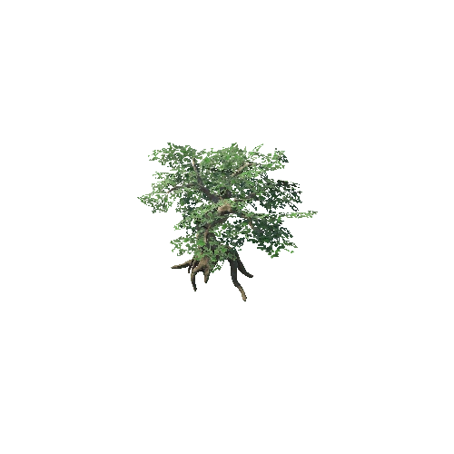 Tree_01