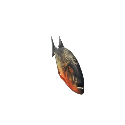 Piranha